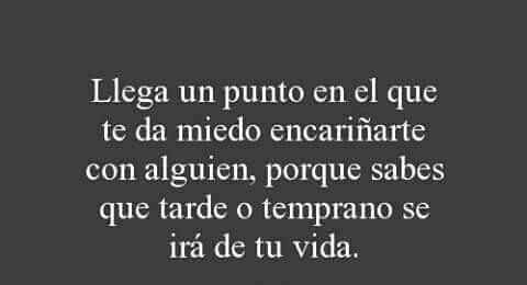 welcome to the life