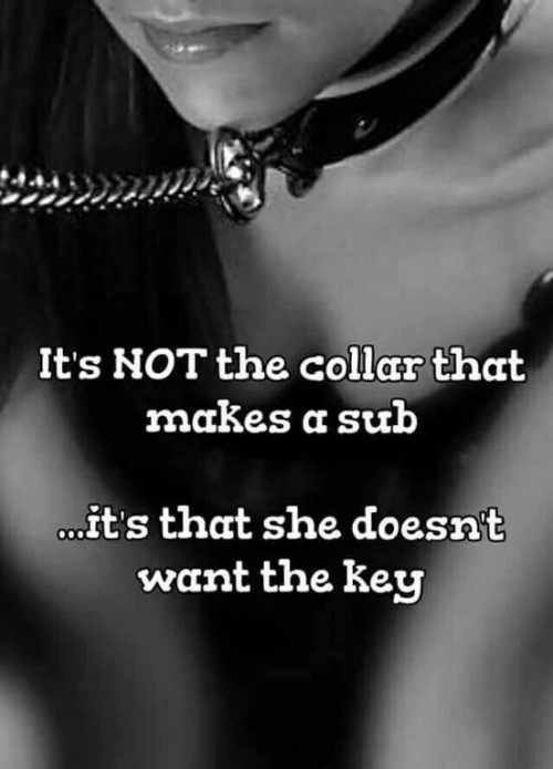 serpentshadow-chains: sensualhumiliation:Absolute true !! @submissivestorm2 don’t you agree? ;)