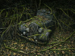 unicorn-meat-is-too-mainstream:  Paris-based photographer Peter Lippmann shot abandoned cars enveloped by nature for his “Paradise Parking” series. Lippmann’s project took two years to put together. Bhakta’s Weblog:  facebook  |  twitter 