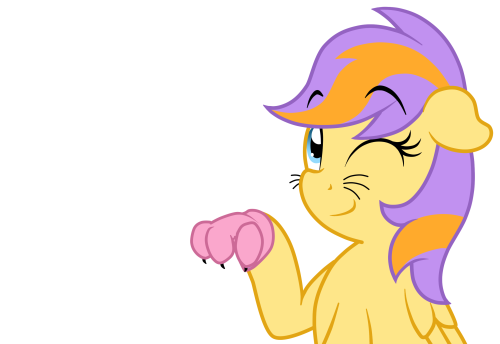 asklibrapony:  Meow meow.  X3