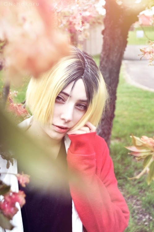 One spring day ✾❁❃Kenma Kozume (Haikyuu): HotaruI love spring, finally I was able to take some photo