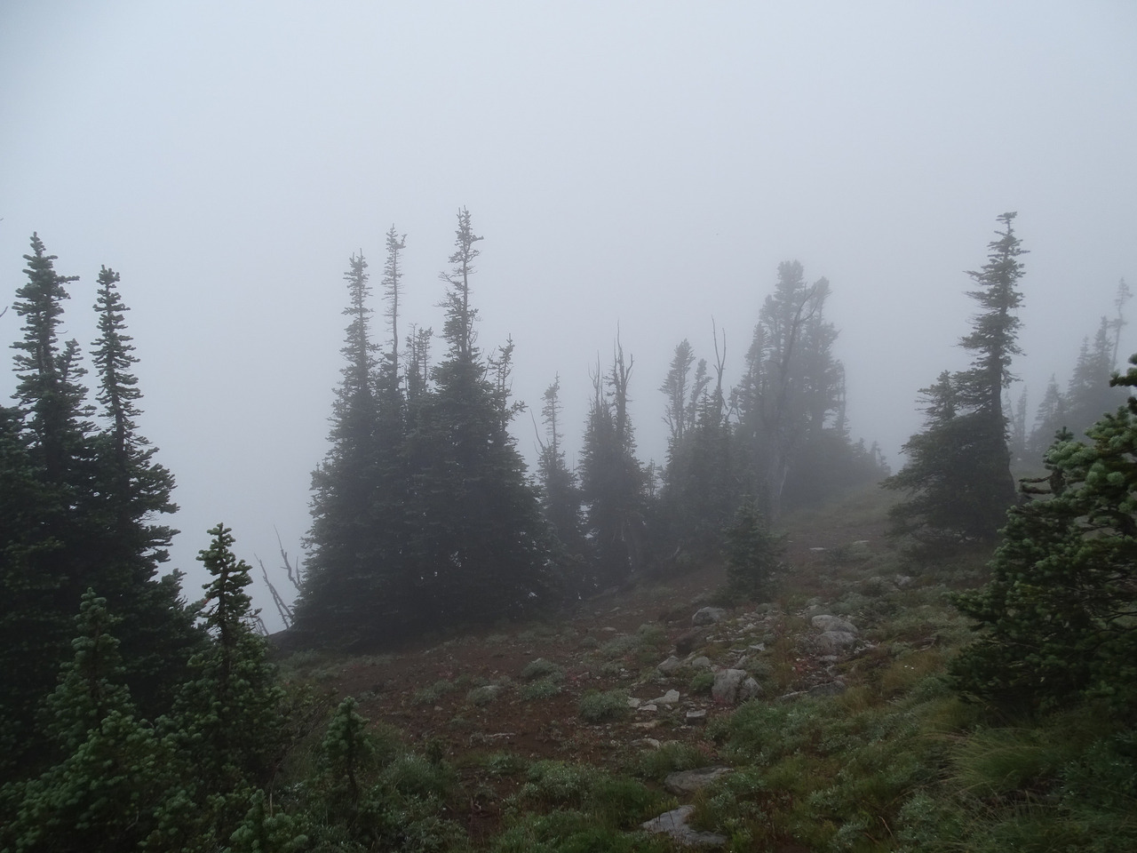 90377:    Foggy Summerland. by bikejr   