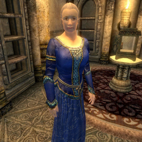 uesp:One of the more heartwarming moments from the series: Trying to donate a mixing bowl to the Mus