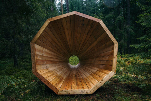 Estonian Students Built Impressive Giant Wooden Megaphones To Listen To The ForestA group of young, 