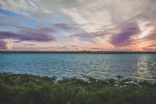 pedromgabriel:  - How wonderful you are - by Pedro Gabriel  Society6