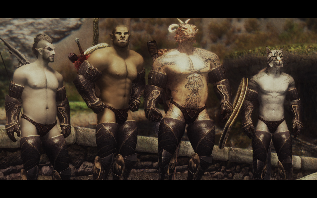 move-to-ipod:  personalchesschirebaconblog:  mrbonerswildride:  beastracesftw:  Skyrim