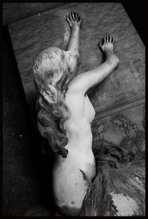 fer1972:  Beautiful Death: Cemetery Statues Photography by f-c-n