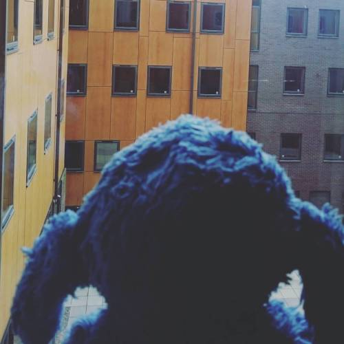 #stitch #travels #newhome #windows #birmingham #uk (at Jennens Court Student Accommodation)