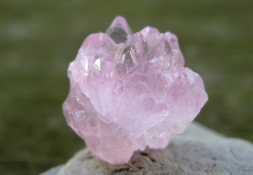 seyelle:  Lovely rose quartz crystals. I wish my camera and I could agree on better quality photos of this one. 