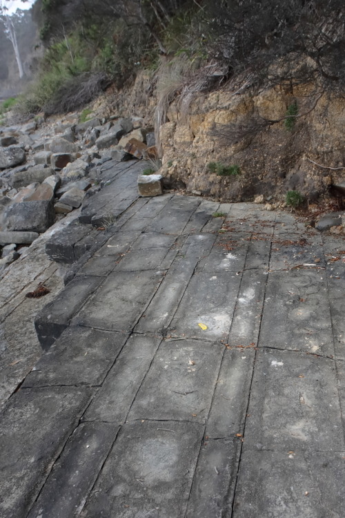 geologicaltravels: 2018: Most Australian schoolchildren have heard of the Tessellated Pavement, foun