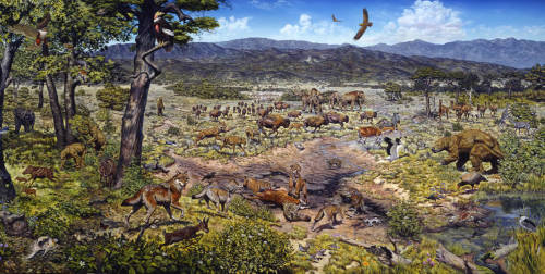 antediluvianechoes: Treasures of the Tar Pits, Mark Hallett, 1988 The proper terms of venery are a h