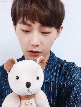 parkjiihoons: yongguk and his plushie ↳ requested by anonymous 
