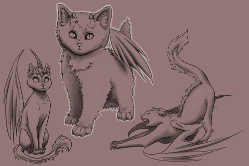 crashingrain: DragonCats!Just wanted to do some quick drawings of these babies. They are born so fuz