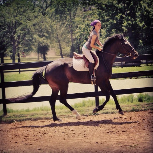 thecityhorse:  Oldie but goodie  #mindyourmelon… 