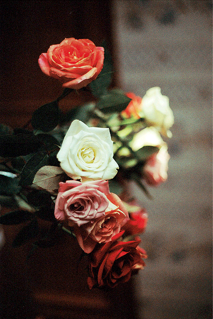 acid-daisies:  ☠vintage &amp; models☠ 