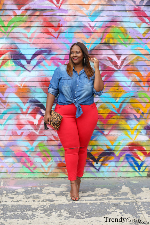 trendycurvy: L-O-V-E Outfit details on TrendyCurvy.com Photographer: Steve Suavemente