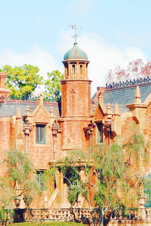 mickeyandcompany:  Haunted Mansion phone backgrounds. Feel free to use it. 