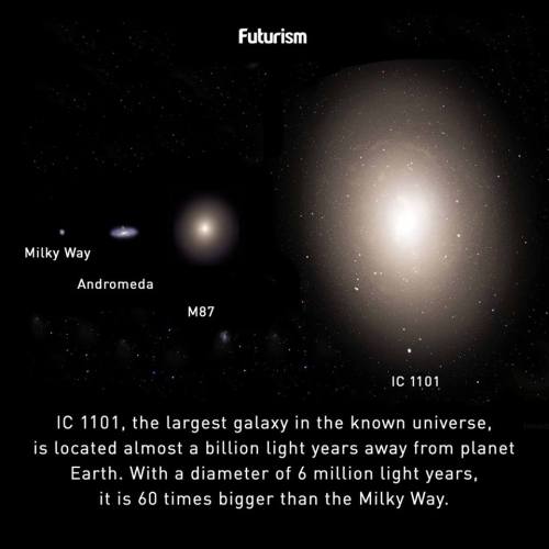 ic 1011