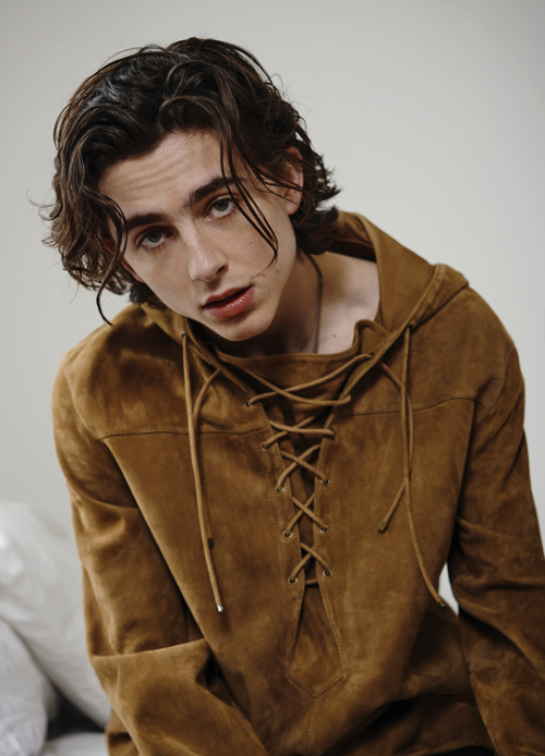 timothees-chalamet: Timothée Chalamet photographed by Collier Schorr for V Man Magazine