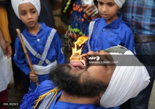 An Indian Nihang, a religious Sikh warrior, holds a flammable cube on his tongue during a religious 