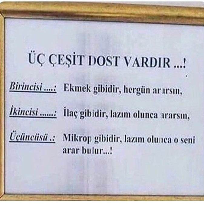 ÜÇ ÇEŞİT DOST...