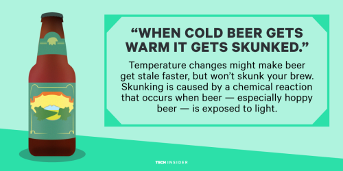 techinsider: 7 of the biggest myths about beer debunked We got in touch with Sheri Jewhurst and Xav