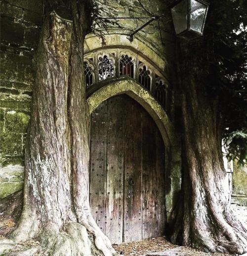 “Speak, friend, and enter.”: A pair of ancient yew trees flanking the north porch of St Edward&rsquo