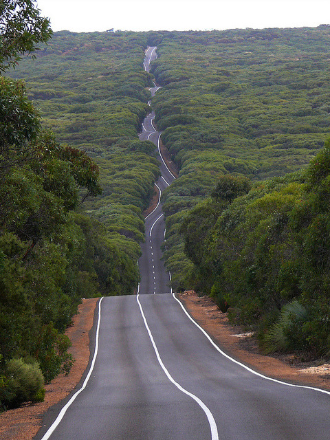 Kangaroo Island road in Flinders Chase National Park, Australia (by IAGD+P).