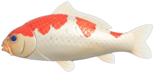 friesmoved - here fishy fishy !