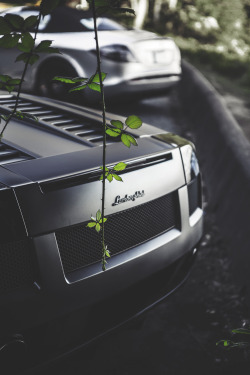 envyavenue:  Gallardo Spyder