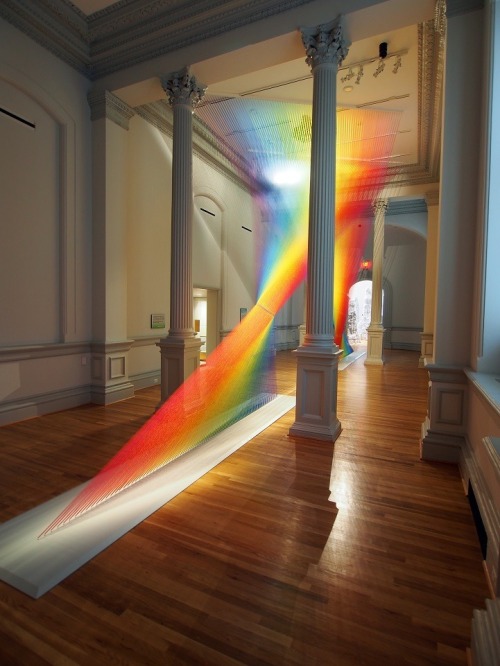 Plexus A1 by Gabriel Dawe