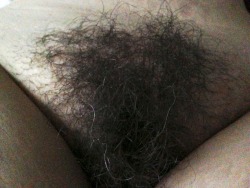 maturehairypussy:  Hairy Chicks