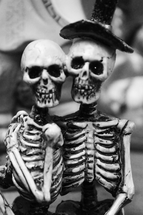 eidolonoftheforest-deactivated2:  Own. Till’ Death Do Us Part. 