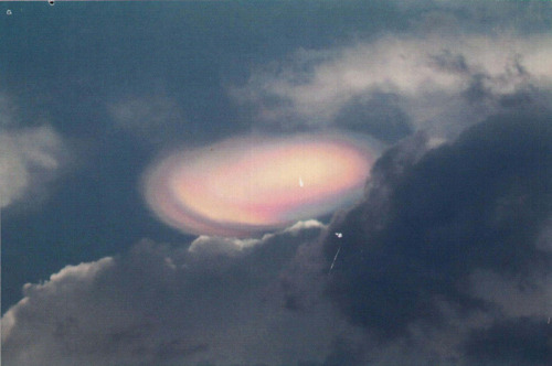 trefoiled:UK National Archives UFO Files: Photograph of an unusual atmospheric occurrence observed o