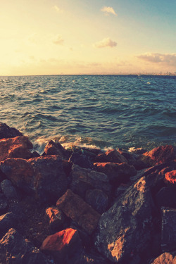 grunge-tea:▲  Boost Your Blog and Make Money Online ▲  