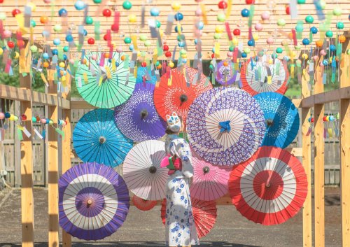 tanuki-kimono: [The sound of Summer] photographies by Tomosaki. I love how the movement of the wind 