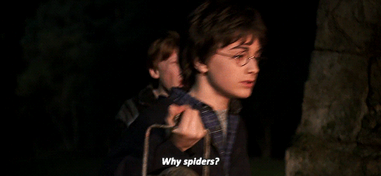movie-gifs:  Harry Potter and the Chamber of Secrets (2002) dir. Chris Columbus