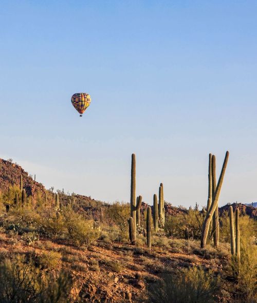 Avoiding “rush hour” . . . . #saguaronationalpark #nationalpark #findyourpark #hikearizo