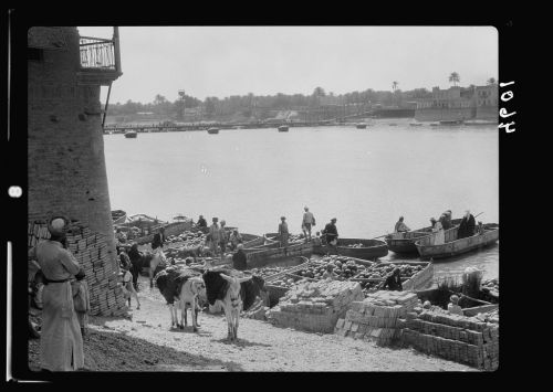 Watermelon barges on the banks of the Tigris (Baghdad, 1932).  Fruit is being unloaded and carr
