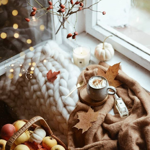 pumpkinsandhotcocoa: ~ Autumn Wonderland ~