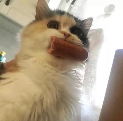 animyuls: