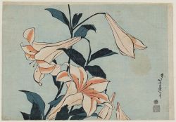 malinconie:  Flowers by Katsushika Hokusai