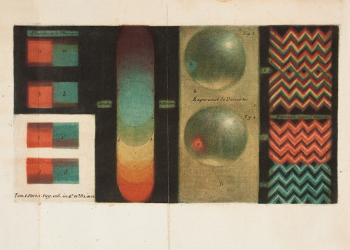 a chart from 1746 by Jacques-Fabien Gautier illustrating his theory that the primary colours are bla