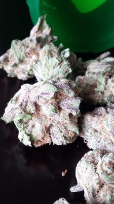 reddlr-trees:  White Urkle