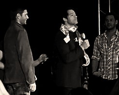 As We Found Out Recently, According To Misha, When You Like Someone You Gently Caress Them. So... There