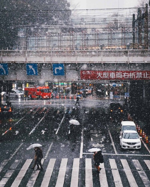 takashiyasui:Snow day in Tokyo