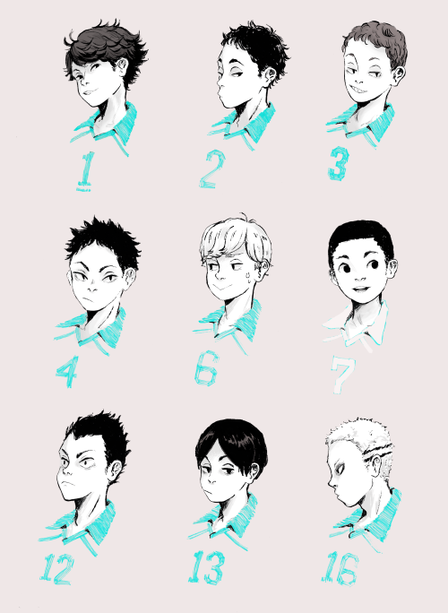 wakawakatoshi:  i wanna make a seijou zine so im trying to draw them all 