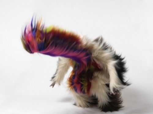asylum-art-2:   “soundsuits” series by Nick Cave  Chicago artist Nick Cave is currently 