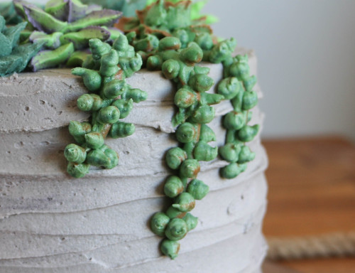 skauen: fleshcircus: sweetoothgirl: How to Make a Buttercream Succulent Cake Want @bernesemoun