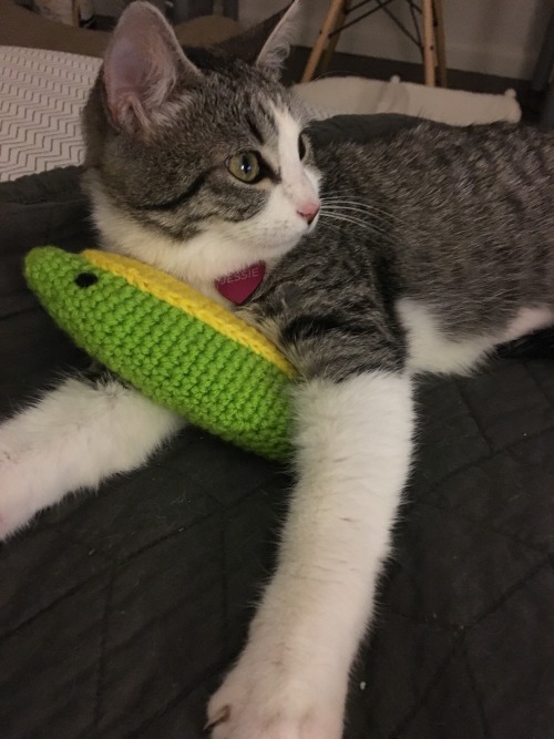 tamigurumi:  So what could be cuter than Neko Atsume? How about Neko Atsume IRL? Amigurumi kick toy fish designed and crocheted by me, for Jessie <3 